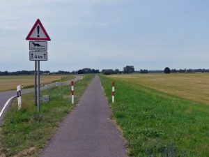 Achtung Otterwechsel :-)