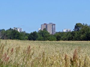 Plattenbauten in Frankfurt/Oder