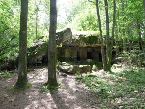 Bunkerruine Wolfsschanze