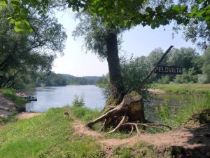 Zeltplatz am Fluss Gauja