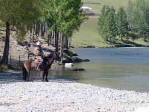 Das Pferd überlegt wahrscheinlich ob es durch den Fluss kommt