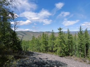 Unterwegs auf einer Wanderung
