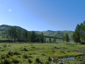Im Terenji Nationalpark (60 nördlich von Ulan Bator)