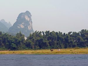 Li-Fluss