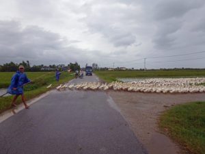 Aufmerksamkeit im Straßenverkehr unbedingt erforderlich