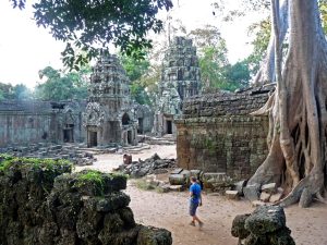 Ta Prohm, hier war auch schon Angelina Jolie unterwegs in Tomb Raider