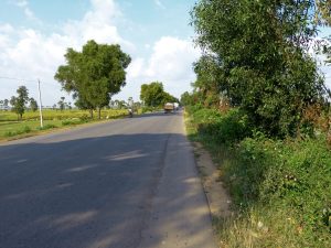 Seit zig Wochen mal wieder eine Allee, die Schatten beim Fahren spendet