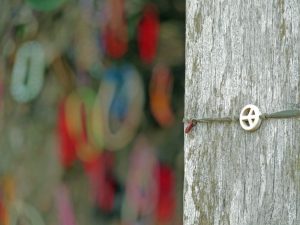 Die Armbänder werden als Zeichen der Trauer und Hoffnung auf Frieden an die Bäume des killing fields gehangen