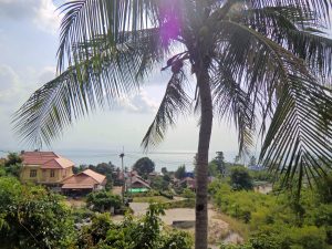 Ausblick vom Bungalow auf Koh Phangan