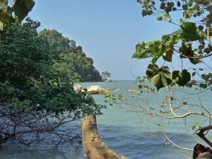 Nationalpark auf der Insel Penang