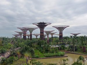 "bay gardens" Singapur