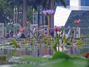 ... am ArtScience Museum in Singapur ...