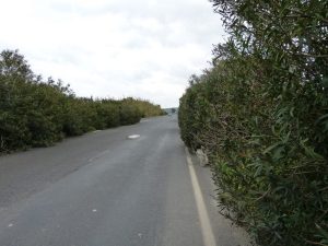 Ich war mir erst nicht sicher, ob ich wirklich auf der Schnellstrasse oder doch im Nationalpark gelandet bin :)