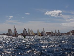 Patrick – Die hellen Tage … !!!