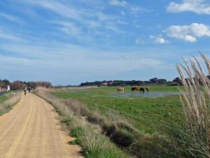 Patrick – Die hellen Tage … !!!