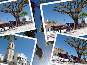Chillen in der Sonne Portugals ...