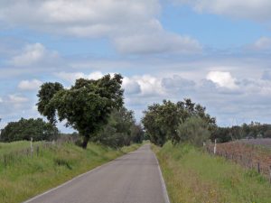 Kleine Straßen und Wege führen mich nach Lissabon ...