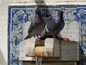 Portugal/Lissabon