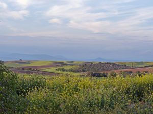 Spanien wilder Zeltplatz nach Barcelona