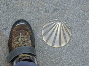 Die Große Pilgermuschel als Pilgerzeichen