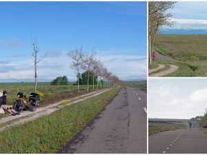 Camino de Santiago