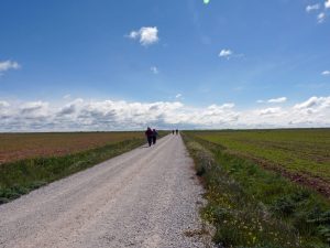 Camino de Santiago