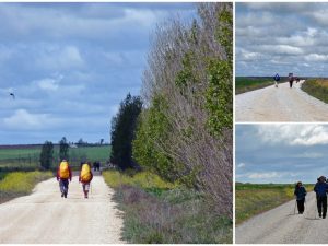 Camino de Santiago