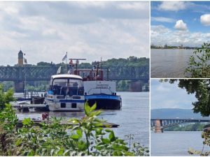 Mündung des Mains am Rhein